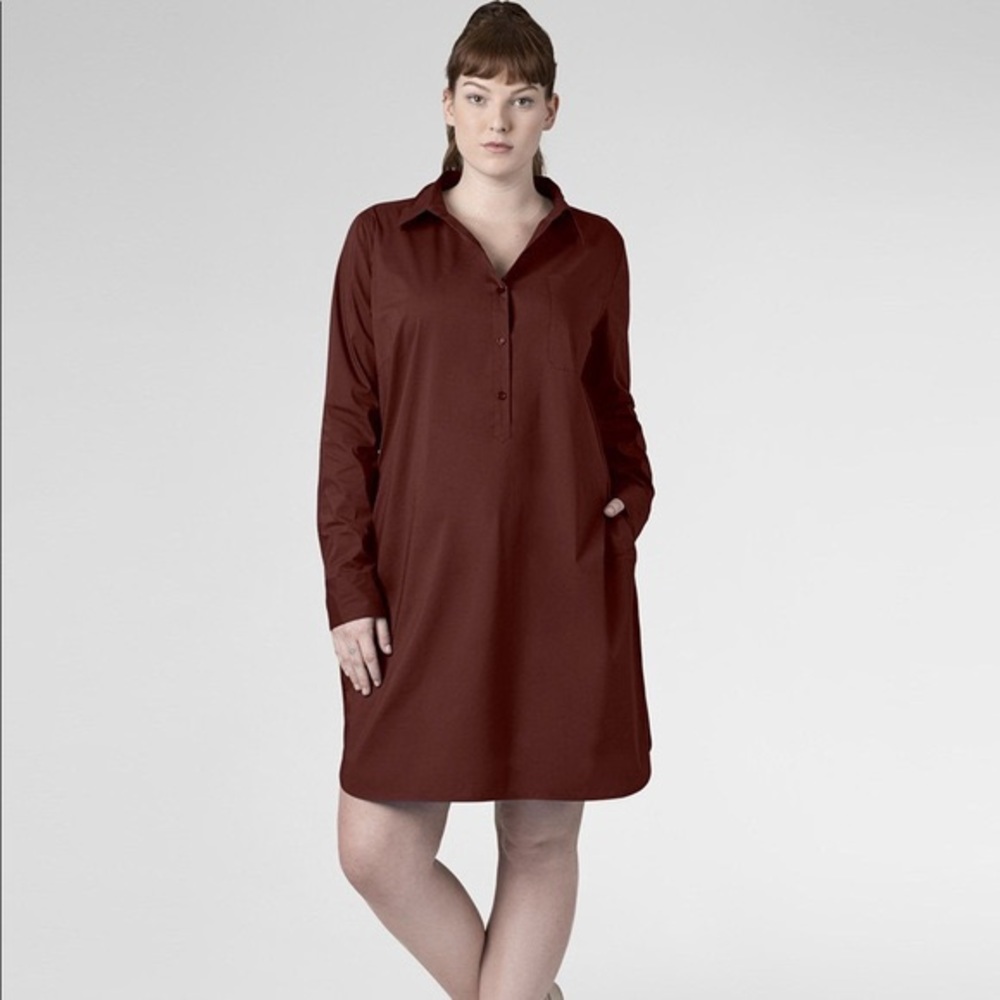 EUC Universal Standard Rum Raisin Shirt Dress